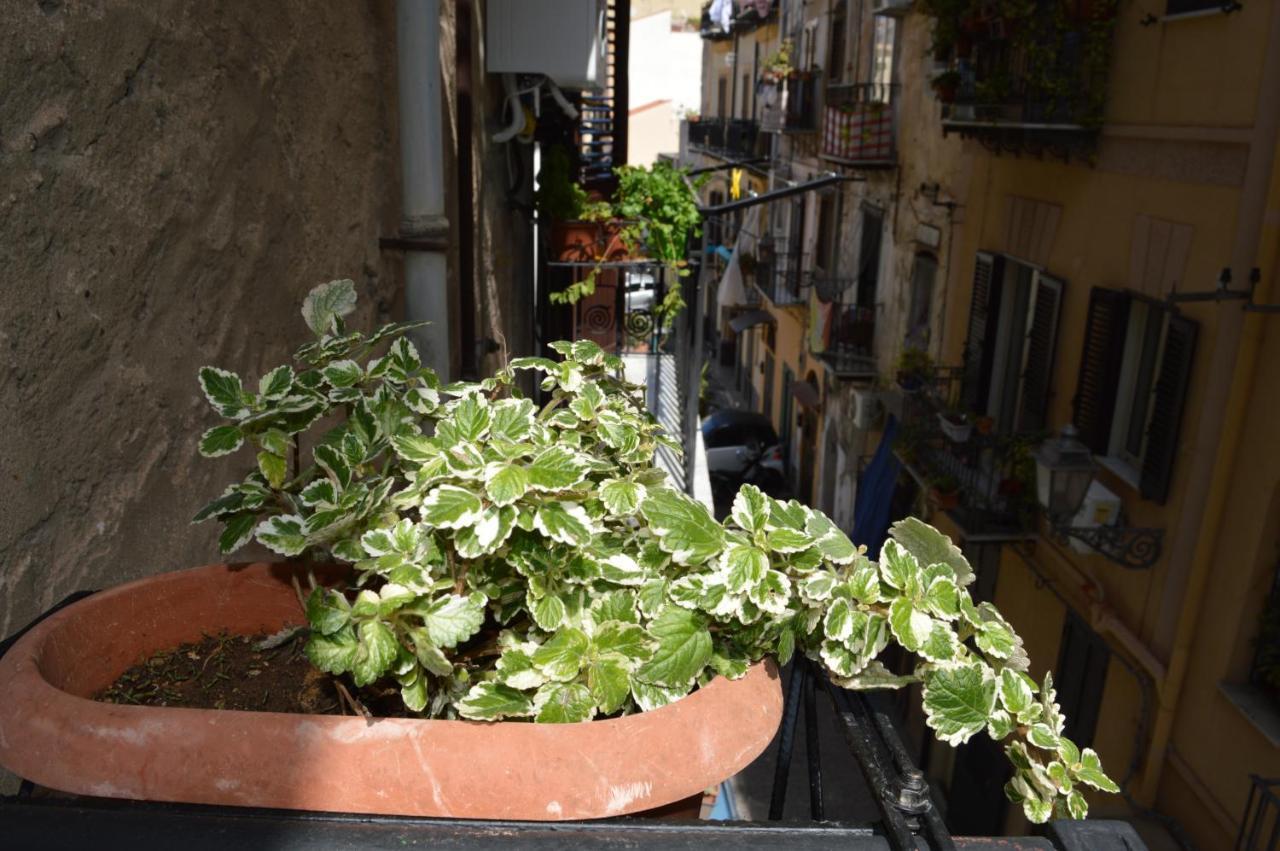 Futtitinni Home Casamia Palermo Exteriér fotografie
